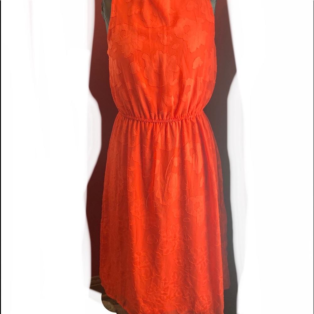 A.n.d. Peach dress, BNWT